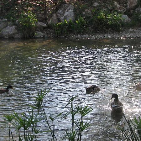 Adrasan River Hotel Kumluca Εξωτερικό φωτογραφία