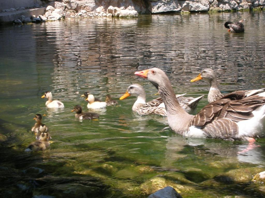 Adrasan River Hotel Kumluca Εξωτερικό φωτογραφία
